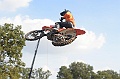 _ROB3816 (Copy)